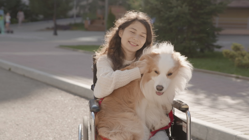 Asian handicapped girl with paralysis living full life. Portrait of disabled happy young woman in wheelchair with her guide dog looking at camera. Outdoor summer shot. 6k downscale 10 bit color. Royalty-Free Stock Footage #1063961182