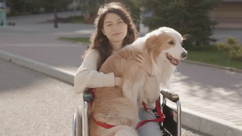 Asian handicapped girl with paralysis living full life. Portrait of disabled happy young woman in wheelchair with her guide dog looking at camera. Outdoor summer shot. 6k downscale 10 bit color.