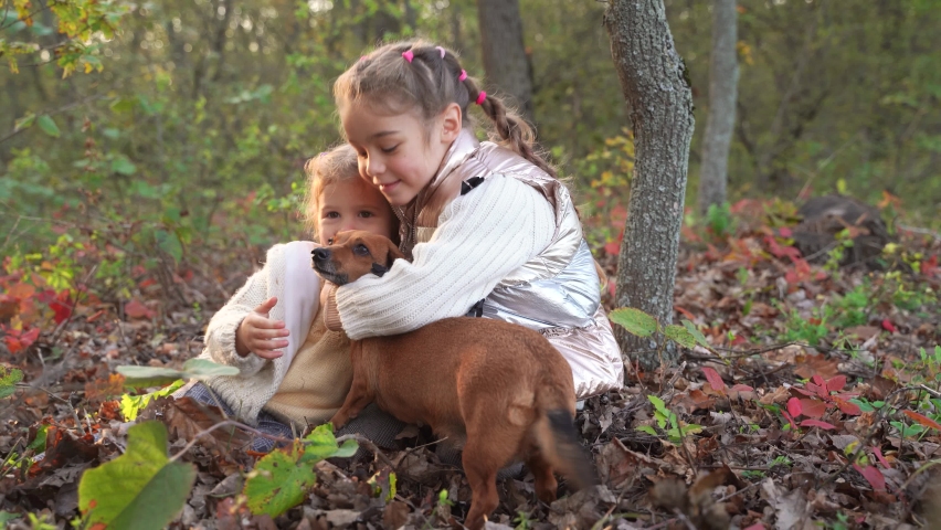 Girls stroking dog in autumn forest
Cute sisters caressing cute dog while resting on ground in forest in autumn Royalty-Free Stock Footage #1063964422