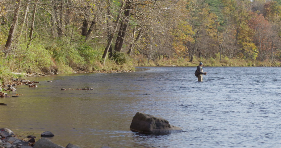 A man flyfishing waist deep in the middle of a big river and autumn foliage in background, shot in slow motion in a sunny day