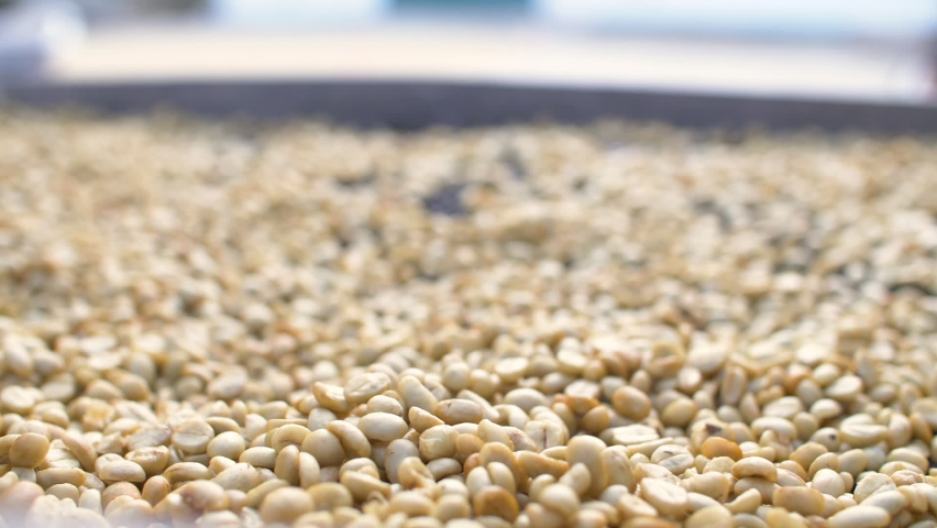 Hands Sifting Drying Coffee Beans, Green coffee beans Royalty-Free Stock Footage #1063979368