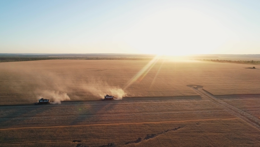 Combine wheat. Aerial landscape of agriculture. Harvesting wheat with combine. Combine at sunset in field. Harvesting in wheat field. Agriculture and healthy food concept. Sunset aerial landscape. Royalty-Free Stock Footage #1063981384
