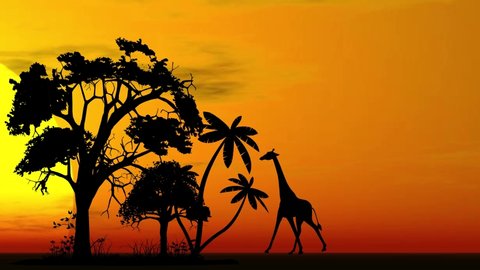 Silhouette of giraffe walking in the  sunset in the africa, 2d animation cartoon