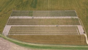 
wheat plantation agriculture nature drone