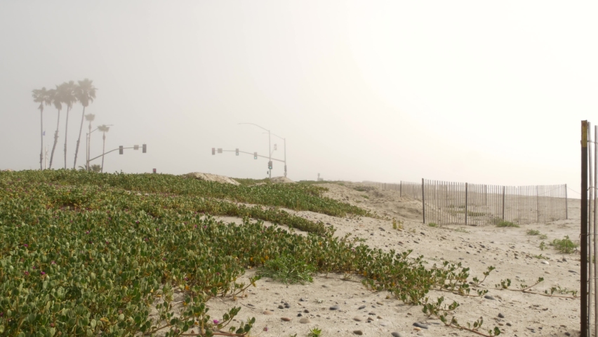Traffic light semaphore, highway road by sandy misty beach, Encinitas California USA. Pacific ocean coast, fog on sea shore. Coastline near Los Angeles, palms in smog haze. Gloomy weather on shoreline