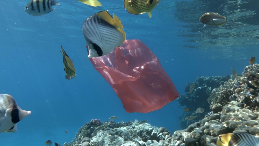 Slow motion, Red plastic shopping bag slowly swims with school of colorful tropical fish near a coral reef in blue water. Plastic pollution of Ocean. Plastic garbage environmental pollution problem Royalty-Free Stock Footage #1064007493