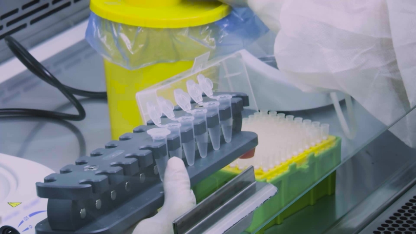 A laboratory assistant performs a test for COVID-19 by polymerase chain reaction. Royalty-Free Stock Footage #1064014267