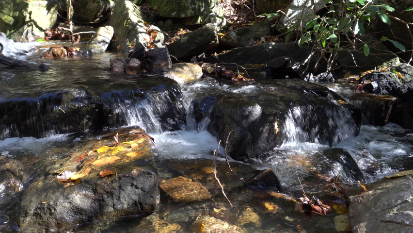 Creek Stream Flowing Threw the Mountains of Tennessee.