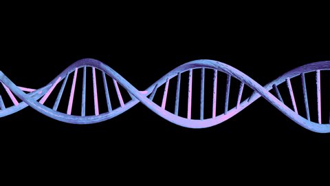 3D Animation of DNA molecule structure. Abstract DNA helix with animation of DNA spiral, Science conceptual design of genetics information. HD 4k UHD Alpha Channel footage. Animation of seamless loop.