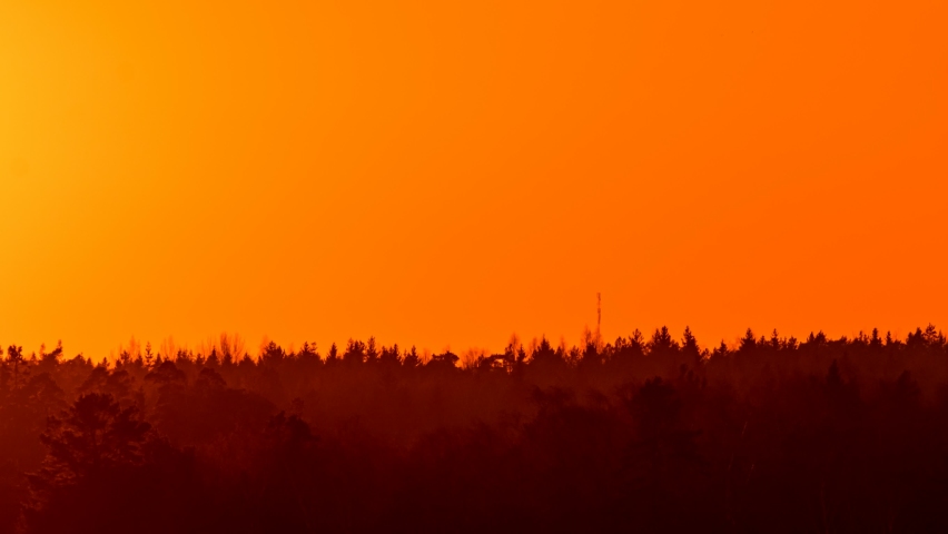 Close-up time-lapse of the sunset over the forest. Big orange sun.