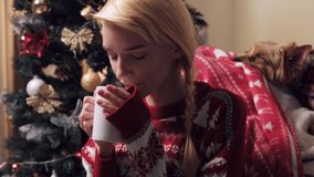 A young blonde woman drinks fragrant cocoa at home near a Christmas tree. A cute little dog is sleeping on the sofa. The girl in the Christmas sweater.