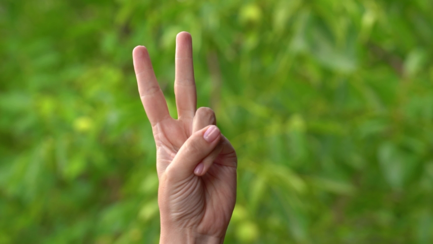 Closeup of isolated on green adult female hand counting from 0 to 5. Woman shows fist fist, then one, two, three, four, five fingers. Manicured nails painted with beautiful pink polish. Math concept.