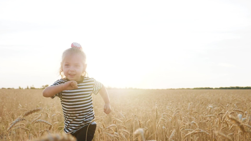 child kid together run in the park wheat field silhouette. happy family people in the park concept. daughter joyful run. little baby child fun summer kid wheat field dream sunset concept Royalty-Free Stock Footage #1064058868