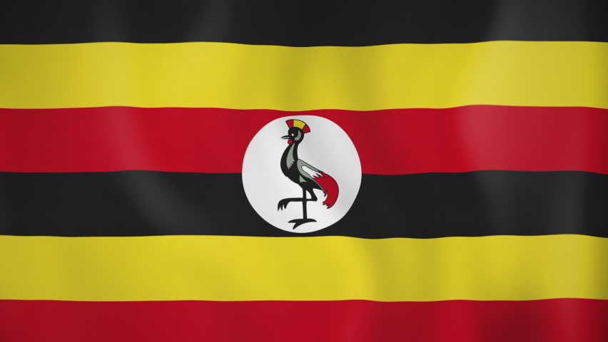 uganda animated flag seamless loop 4k Stock Footage Video (100% Royalty ...