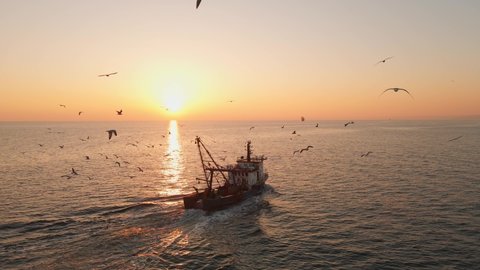 Fishing Boat with Large Catch Fish Swirling Flock Gulls Aerial View Drone Sunset Winter. Small Ship Floats on Sea Surface Golden Sky Leaving a Path of Sea Foam Water. Seagulls. Bright Disk of Sun