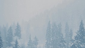 Beautiful winter forest covered with heavy snow.Video clip of fir trees freezing high in mountains in cold snow day filmed in 4K ultra hd resolution.Panoramic footage of mountains covered with snow