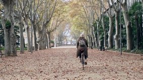 Video of pretty happy woman with a vintage bike enjoying time while cycling through the park in autumn. - Powered by Shutterstock - Get 15% off with code: PIKWIZARD15