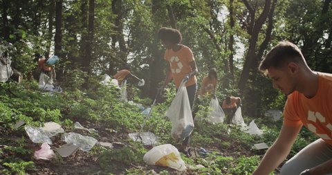 Crop view of eco activists group in same t shirts with recycling symbol collecting garbage and putting in bin bags at public park. Concept of cleanup, care about nature and ecology.