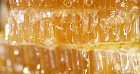 Drops of fresh honey slowly flow down. Macro background. High quality 4k footage