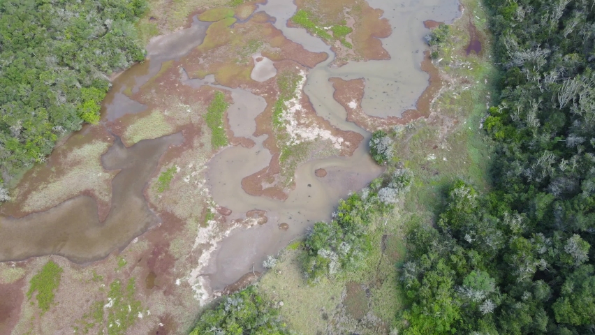 Aerial view of drone flying over wetlands