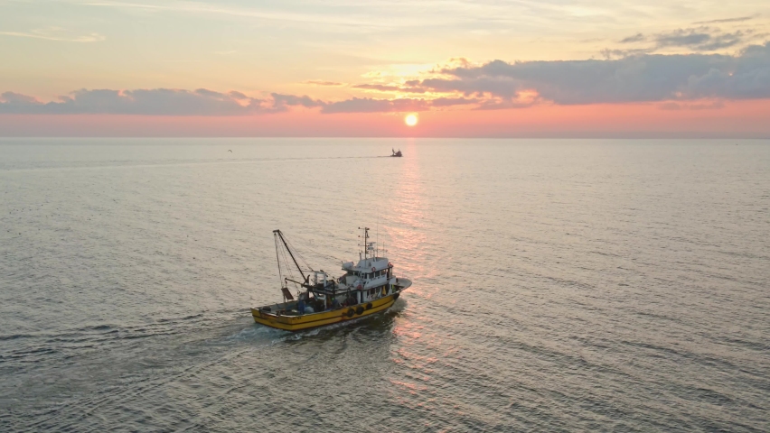 Fishing Boat with Large Catch Fish Swirling Flock Gulls Aerial View Drone Sunset Winter. Small Ship Floats on Sea Surface Golden Sky Leaving a Path of Sea Foam Water. Seagulls. Bright Disk of Sun | Shutterstock HD Video #1064106967