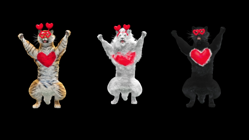Happy valentines day, character 3d rendering, Tiger, White Lion, Panther Dancing, Animation Loop, cartoon, Included in the end of the clip with Alpha matte. | Shutterstock HD Video #1064113426