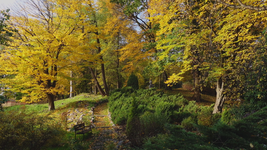 Amazing calm park with bench and narrow path amidst trees on autumn day