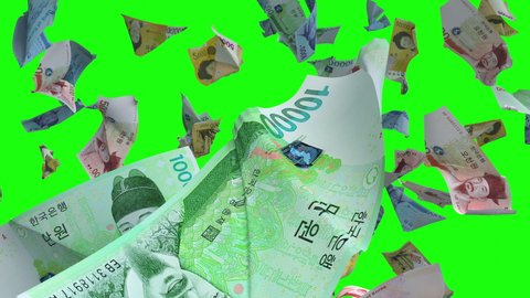 Falling banknotes South Korean Won currency on Green Chroma Key 4K Loop