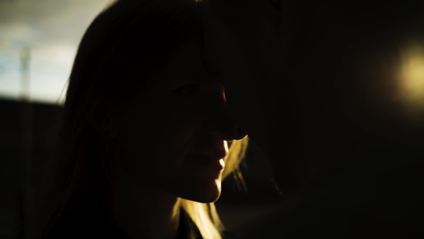 Silhouettes of loving couple heads close to each other in sunset. Action. Close up of romantic male and female unrecognizable faces hidden in the shadow with golden sunlight. Royalty-Free Stock Footage #1064121601