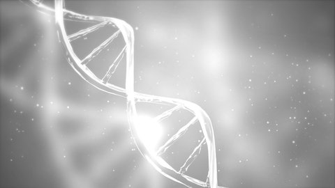 Abstract White DNA 3D Hologram glowing rotating DNA double helix loop animation. Science and medicine concepts. technology, medicine, gene therapy, development, engineering, AI synergy