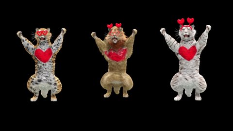 happy valentines day, character 3d rendering, White Tiger, Lion, Leopard Dancing, Animation Loop, cartoon, Included in the end of the clip with Alpha matte.
