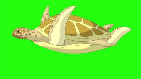 Big yellow turtle swims underwater. Handmade animated looped footage isolated on green screen