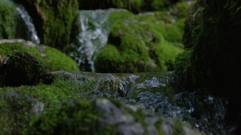 SLOW MOTION CLOSE UP DOF: Glassy river water flows along the mossy stones. Idyllic close up view of a stream coursing down the moss covered rocky riverbed in the middle of a remote forest in Slovenia.