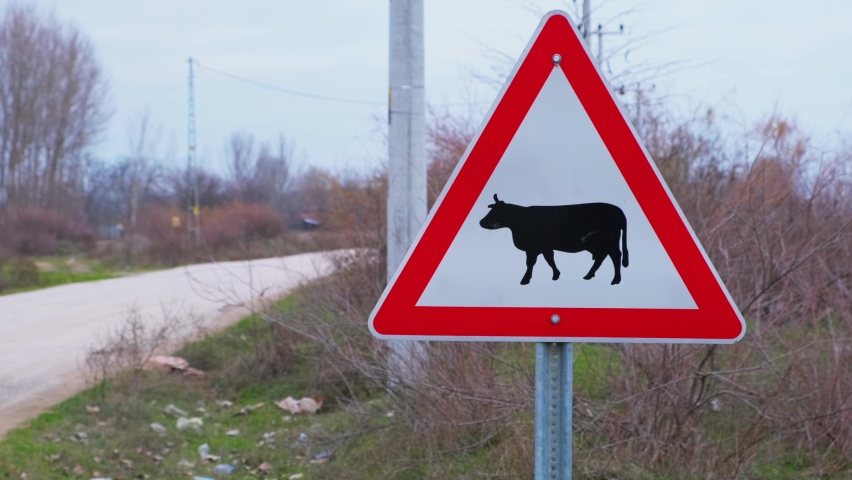 In the village roadside cow embankment sign in the background tractor
