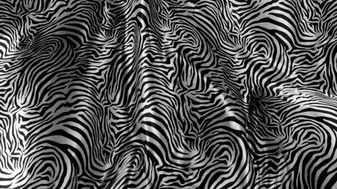 Africa jungle fashion design waving cloth animated background - 
zoo zebra skin waving backdrop
