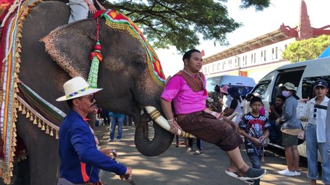 Elephants and people in the city center. Isan, Surin, Thailand. 20.11.2020