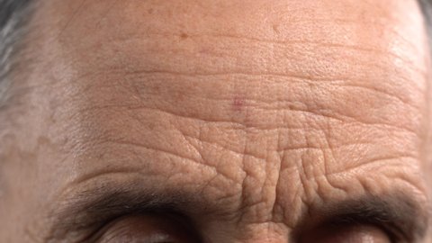 Wrinkled Male Forehead Close Up. Mature Man's Forehead and Wrinkles.