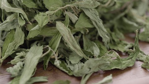 Dried Stevia leaves rotate in slow motion