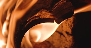 Birch bark burns in the furnace and moves under the action of the flame. Soft focus. Close-up
