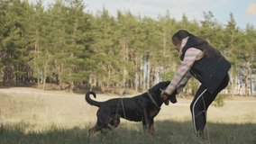 Games with a dog in the forest. Walk in the coniferous forest with your best friend and bodyguard - a dog. 4K UHD still video camera, 2x slow motion.