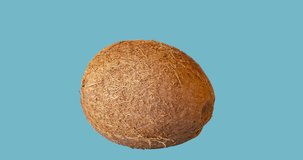 Fresh coconut revolves around itself