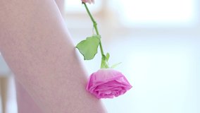 unrecognizable woman runs a fresh rose over the skin. skin tender as a rose concept. winter skin care. close up view. Slow motion video. stock footage. Slow motion video. stock footage