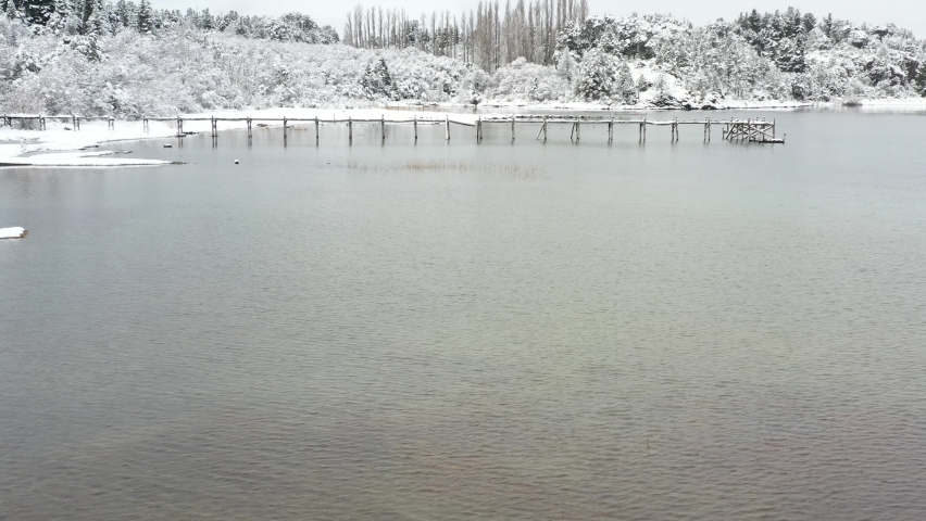 Drone aerial view of seagulls perching on old dock, Moreno Lake. Bariloche, Patagonia Argentina