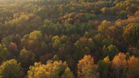 Top shot of the bright rays of the sun falling on a beautiful autumn forest. Nice warm autumn weather to take a walk in the forest. Flying on the colorful autumn trees of the forest outside the city.