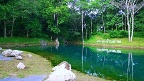 CHIANG RAI, THAILAND - October 11, 2019 : 4K video of the emerald pool in Tham Luang - Khun Nam Nang Non Forest Park, Chiang Rai province.