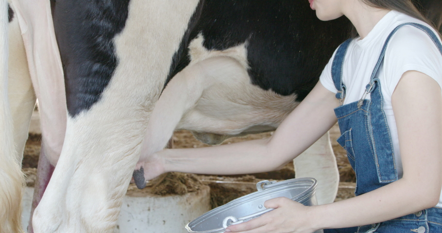 Girl Milked Like A Cow