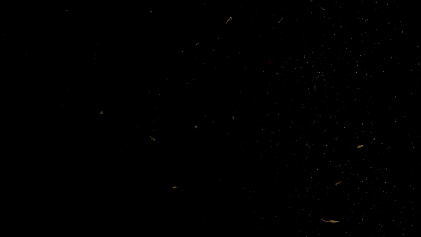 Orange halves falling, drop into water with air bubbles and a smooth black background. perfect for advertising or commercial videos for lemonade, juice and cocktails. Also perfect for  baar and drinks Royalty-Free Stock Footage #1064349526