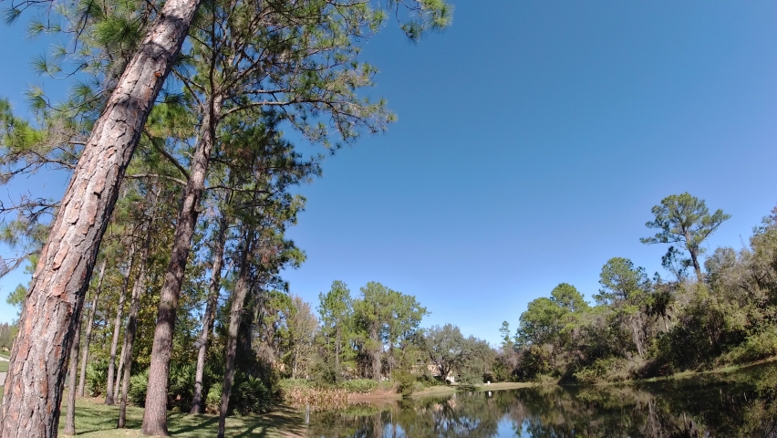 Autumn landscape of New Tampa in Florida