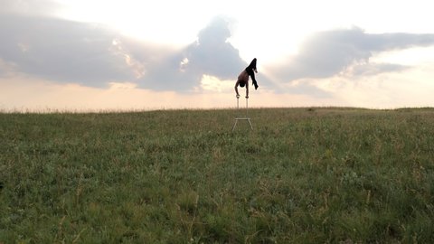 A man of athletic build performs complex gymnastic exercises in a field at sunset