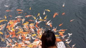 young asian women girl sitting and feeding koi fish in the park top view 4k video 